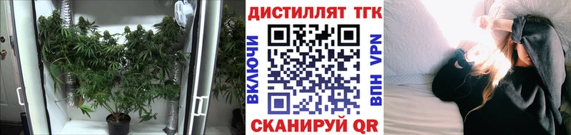ТГК концентрат  купить наркотики цена  Котельнич 