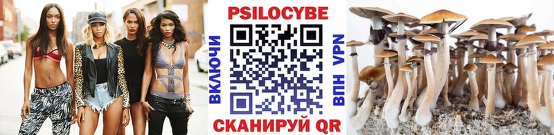 Галлюциногенные грибы мицелий что такое Котельнич